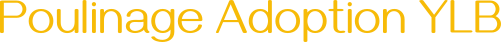 poulinage adoption